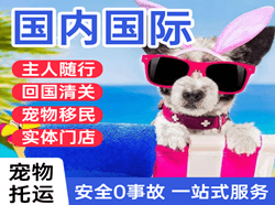 塔什库尔干红其拉甫机场邮寄国际宠物托运 【国